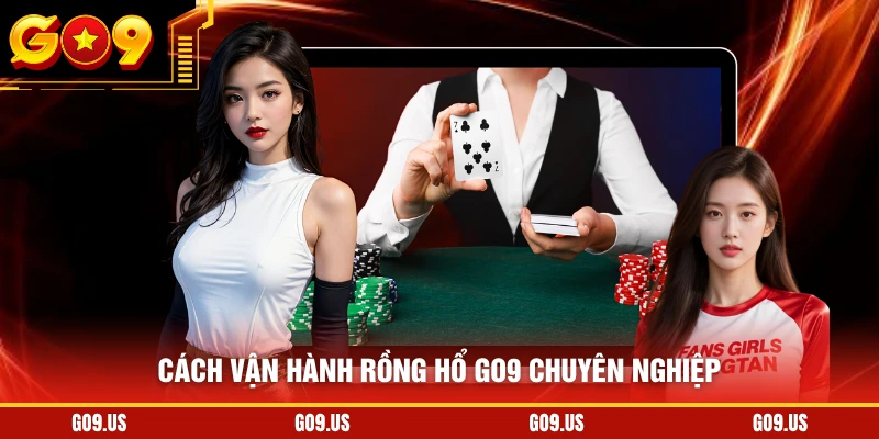 Cách vận hành rồng hổ GO9 chuyên nghiệp
